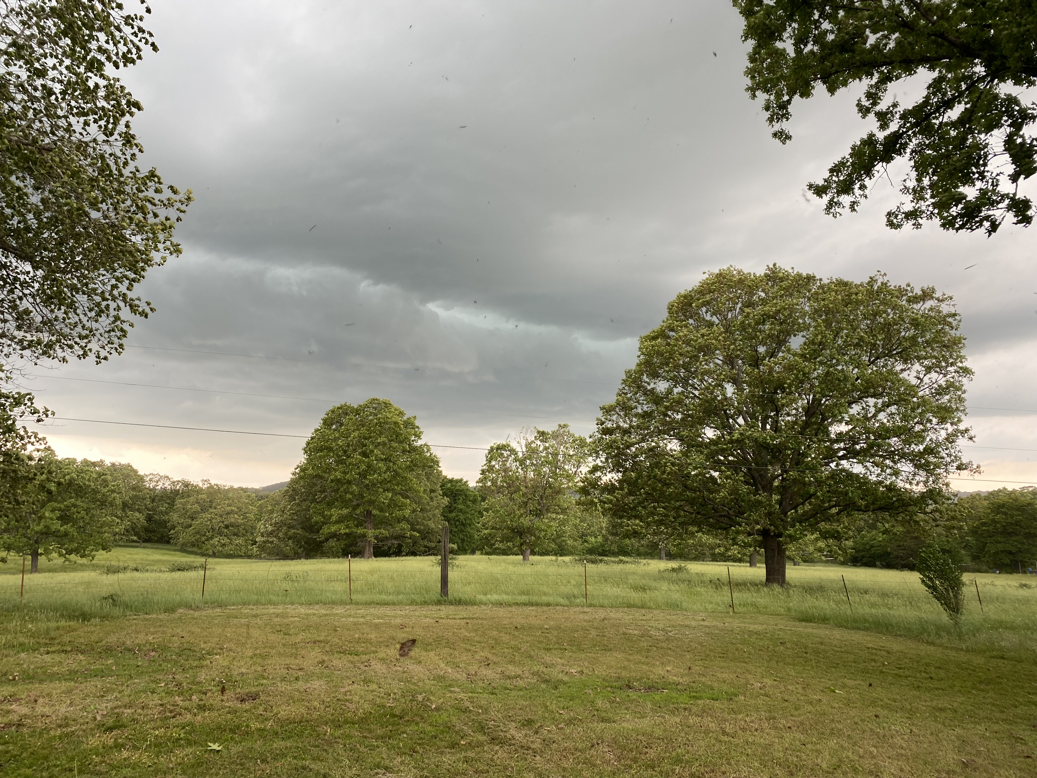 A grassy field, round green trees, the sky is light though grey clouds circle. 